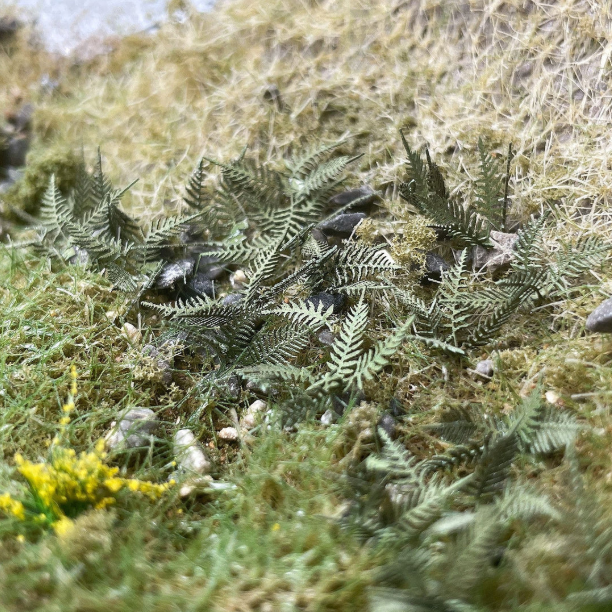 LX432SUMMER Summer Bracken / Fern Plants Model Kit